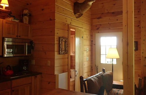 Londonderry Cabin | Private secluded trout cabin- sleeps 2