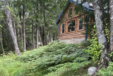 Mountain House | Rustic and Luxurious Retreat With Private Dock, Yard, Fire Pit! cabin
