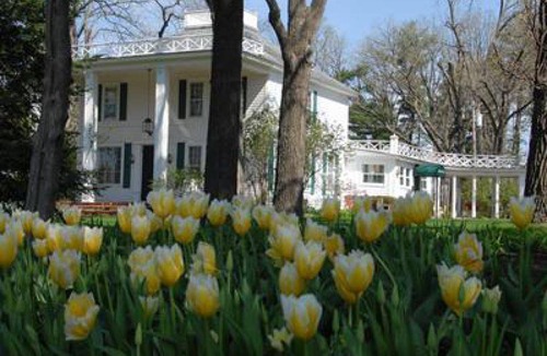 Whitehall Bed & Breakfast | 175 m² Bed and breakfast ∙ 5 guests