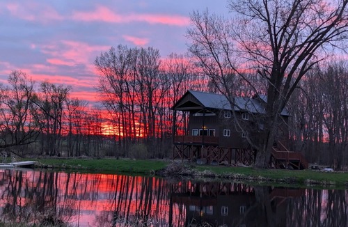 Grandy Cabin | 2 Lakeside Treehouse Cabins+Sauna+Hot Tub+Cold Tub