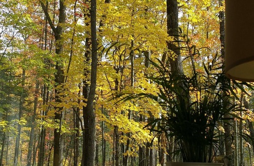 Finlayson House | 5 Unique Cabins And 2 Houses For A Large Group, Family Reunion, Or Wedding