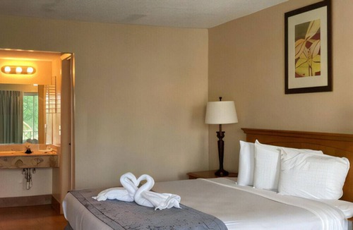 Altamonte Springs House | A Delightful Room for Staycation! Free Parking