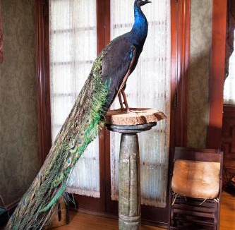 Winona Bed & Breakfast | Alexander Mansion Bed & Breakfast