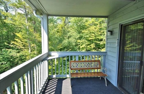 Davis Condo | Amazingly affordable lodging in the center of Canaan Valley!