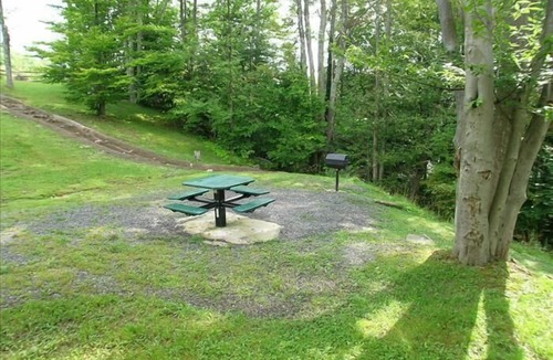 Davis Condo | Amazingly affordable lodging in the center of Canaan Valley!