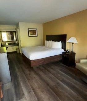 Arab Hotel | ArabKnightsInn