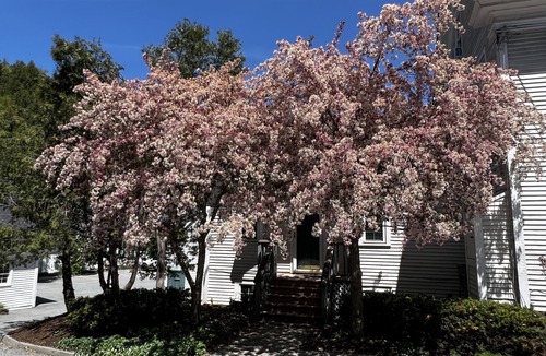 Stowe Area Condo | Artist Studio