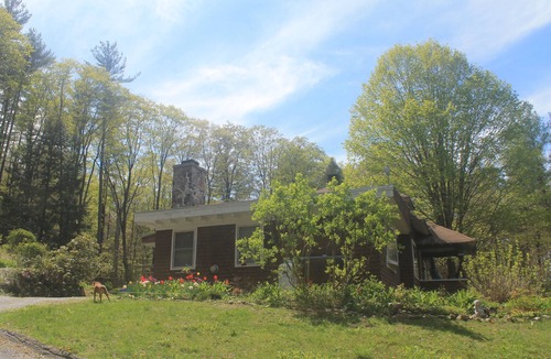 West Brattleboro Apartment | Artsy, Pet-Friendly Studio with a Forest in the backyard