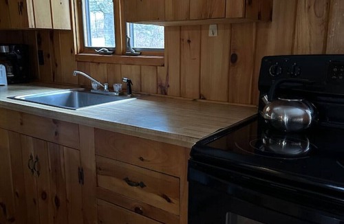 Indian Lake Cabin | Beach - Family & Pet Friendly - Adirondack Cabin