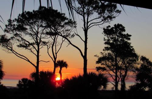 Hilton Head Island Apartment | Beachfront Condo with Ocean View