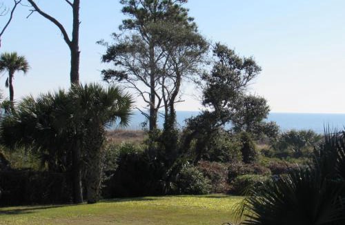Hilton Head Island Apartment | Beachfront Condo with Ocean View