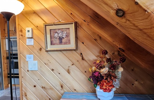 Webster House | Beautiful, modern log cabin on a great swimming and fishing lake with privacy!