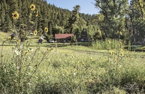 Tererro Cabin | Beautiful Rustic Cabin Right on the Pecos River.