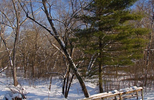 Jim Falls Cabin | Beaver Creek Reserve OLAV CABIN