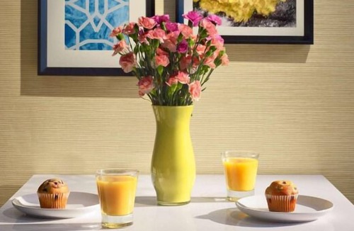 Eagan House | Best Place to Stay in Minnesota, Comfortable Unit, Onsite Pool, Pets Allowed