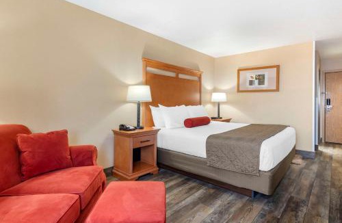 Hines Hotel | Best Western Rory & Ryan Inns