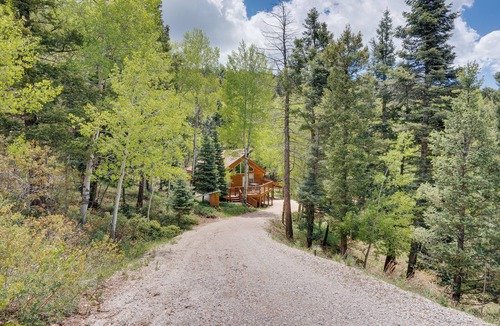 Angel Fire House | Cabin Hidden in the Pines near Ski Area