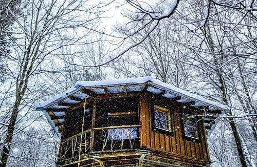 Meacham Other | Camping ∙ 1 bedroom ∙ 2 guests