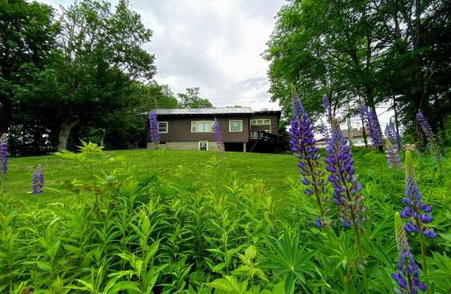 Franconia House | Cannon four bed three bath slopeside home Steps to Mittersill and slopes