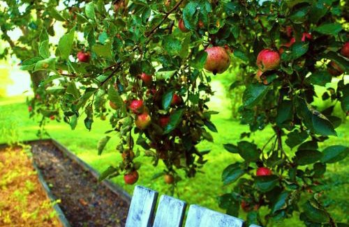 Historic Main Street Bed & Breakfast | Carriage Barn Inn