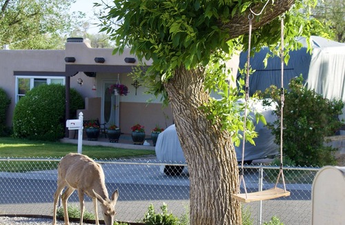 Los Alamos House | Casa Little Bird