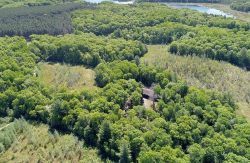 Spooner Cabin | Casey Lodge- cozy cabin nestled on 13 wooded acres