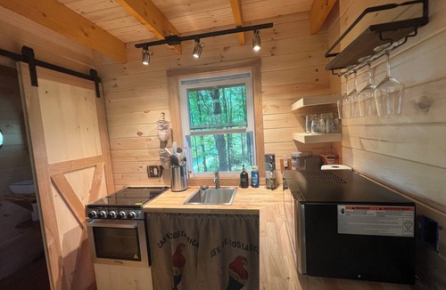 Lincoln House | Charming 1-bedroom treehouse with WiFi, AC, Hot Tub in gorgeous Lincoln VT