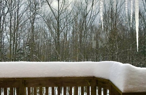 Bromley Mountain House | Charming and Warm Bromley Mountainside Home - Seasonal Rental