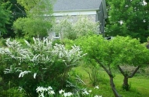 Lanesborough Cottage | Charming historic cottage on scenic road to Mt. Greylock