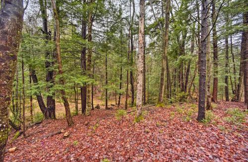 Town of Bleecker House | Charming Rural Retreat Great Sacandaga Lake Area!