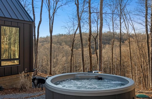 Sparta Cabin | Constellation Lyra Suite