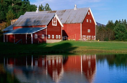 Lyndon House | Country Cottage Near Kingdom Trails + Burke Mountain, Farm Setting