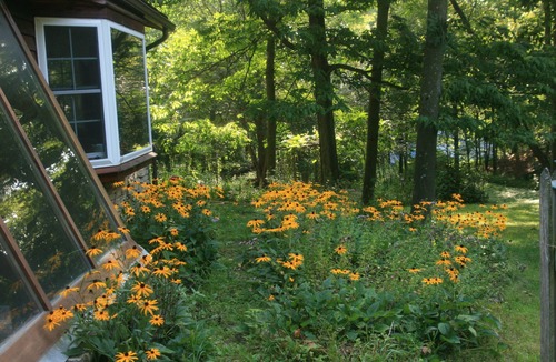 Caledonia House | Country Retreat Nestled in Wooded Valleynnn