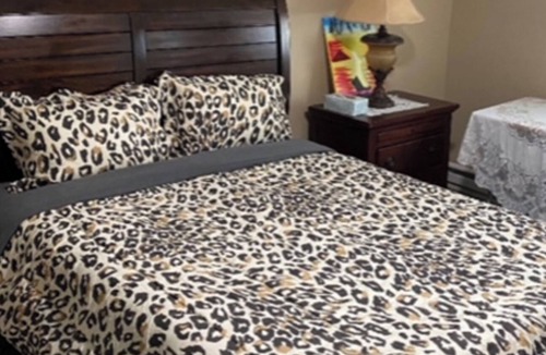 Springfield Apartment | Cozy 2-bedroom apt with WiFi, AC, and cable in Springfield, MA, near all college