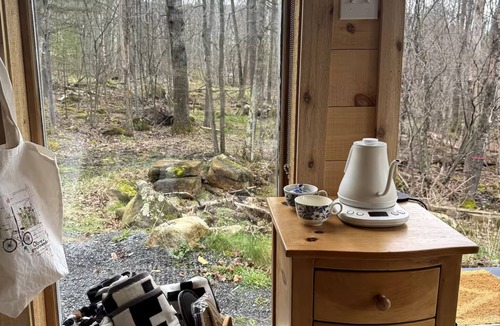 Keene Cabin | Cozy Adirondack Mountain Cottage with AC, WiFi