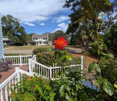 Ozark Apartment | Cozy, Cute, Private Ozark Suite 5 Mins to Hospital