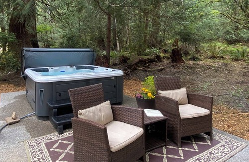 Shelton Cabin | Cozy Forest Escape Private Hot Tub Trails & Gnome Walk Near Beach
