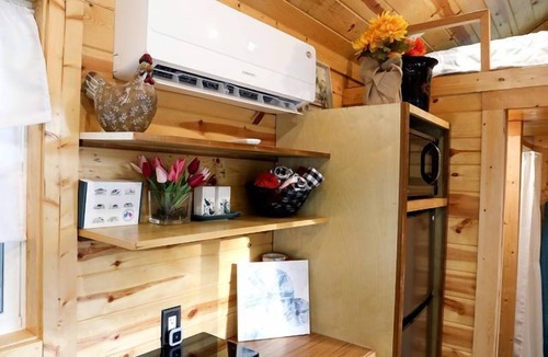 Navarre Cabin | Cute Tiny Home with Animals near the Gulf Coast in Navarre, Florida