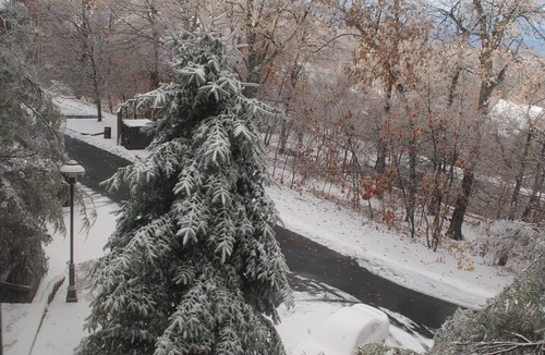 Nellysford Condo | Devil's Knob Mtn. condo on golf course with views of Shenandoah Valley