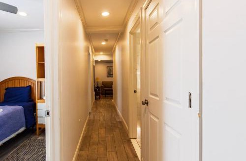 Wayne Apartment | Devon - Horse Show, History, Walk to Shops, Café's