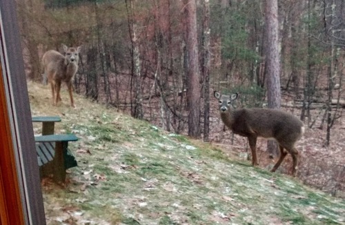 Jay House | Doe-A-Deer Chalet in Jay NY Perfect for Large Groups Close to Whiteface Mountain