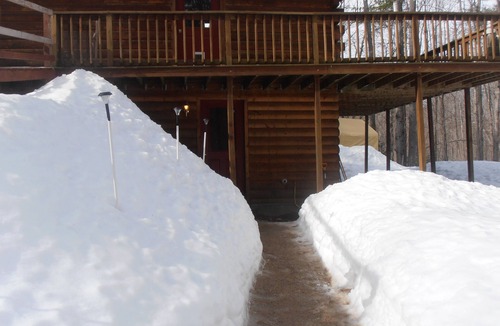 Conway Cabin | Dog Friendly, Quiet Neighborhood, Cozy lower level cabin
