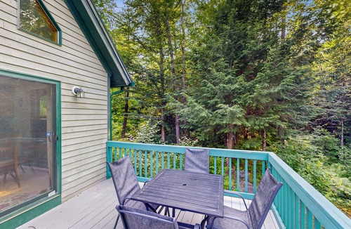 Woodstock House | Dog-friendly wilderness retreat with game room, jetted tub, fireplace & deck