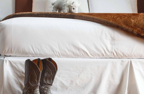 Jackson Hotel | Downtown Jackson - 1 Bedroom Miller Park Deluxe Suite