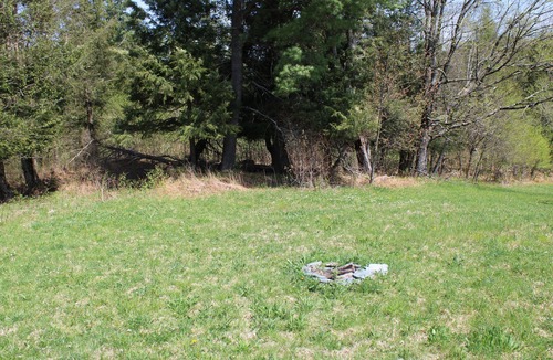 Fletcher Cabin | Enjoy nature in a cabin getaway, wildflowers, lush fields and maple woods trails