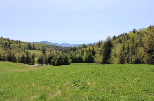 Fletcher Cabin | Enjoy nature in a cabin getaway, wildflowers, lush fields and maple woods trails