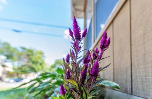 North End House | Entire house 3 bedroom Twin Cities, Specious, Entire House, AC