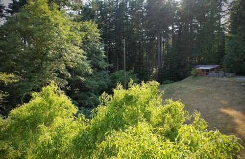 Eastsound Cabin | Forest Grove on Orcas: A Cozy Naturalist Retreat