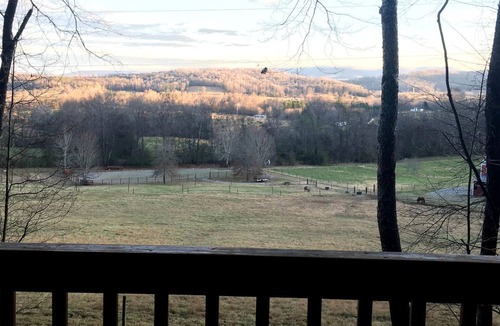 Sparta Cabin | Furry Friends and Fields: Pet-Friendly Cabin with Unique Views in Sparta, TN