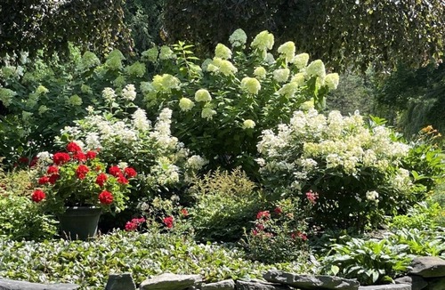 Charlotte Apartment | Gardner Residence and Gardens